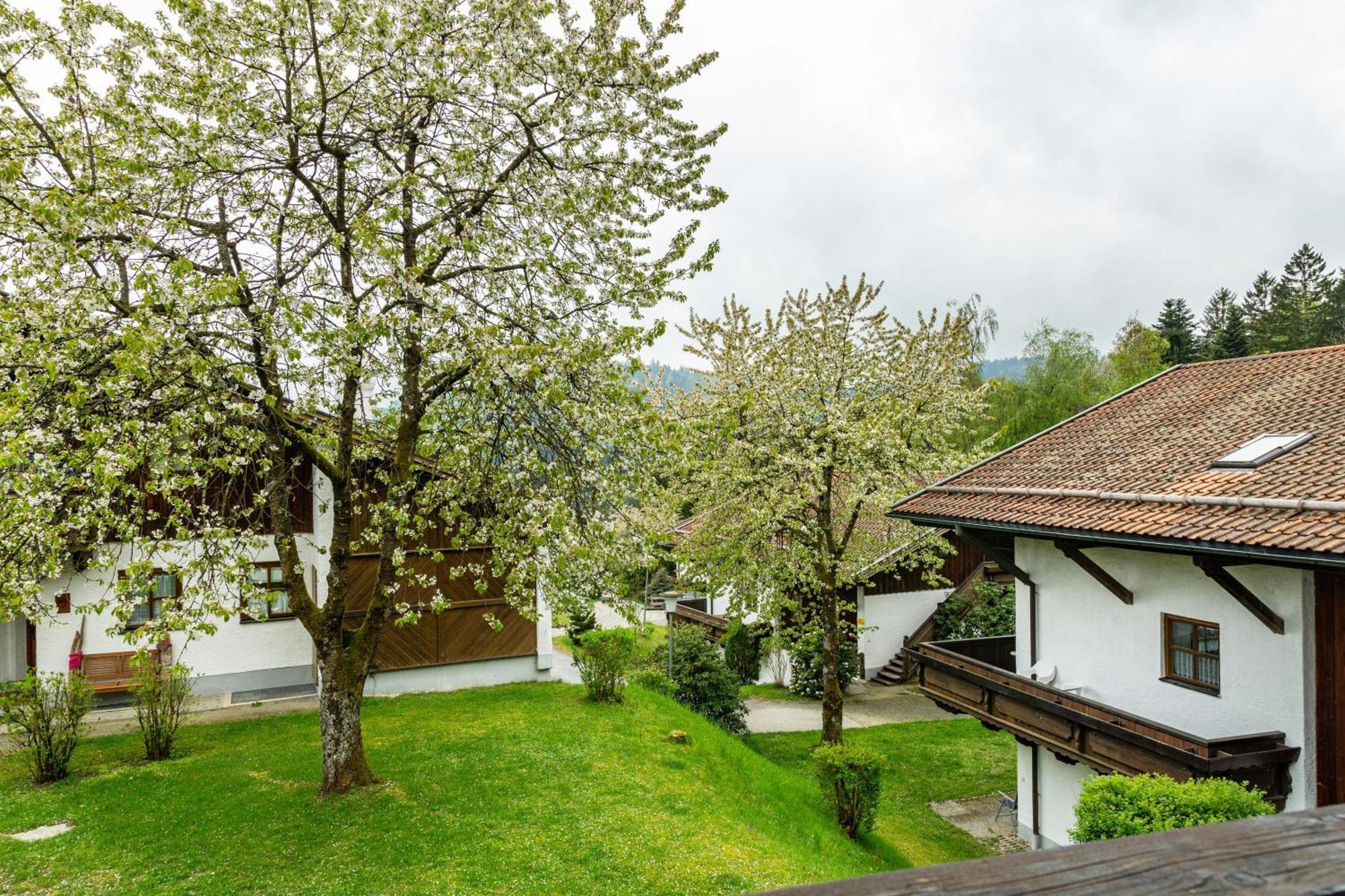Komfortwohnung Mit Pool Und Sauna Hauzenberg Eksteriør billede